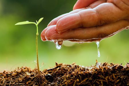 Agriculture SETA - Perfect Solution